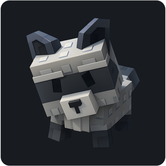 Mapache